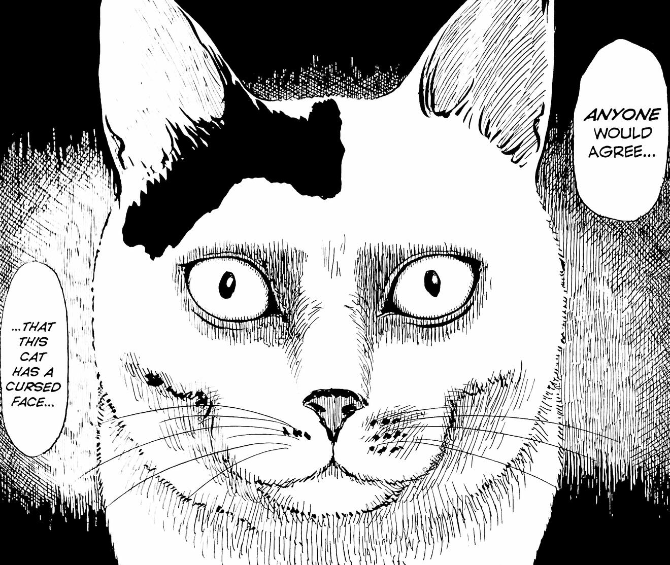 Junji Ito's Cat Diary